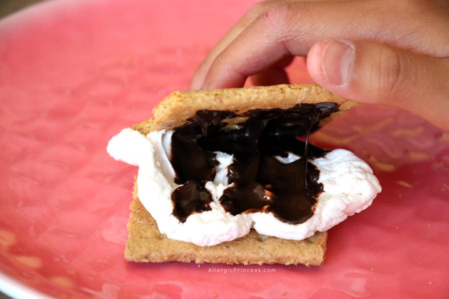 dairy free smores