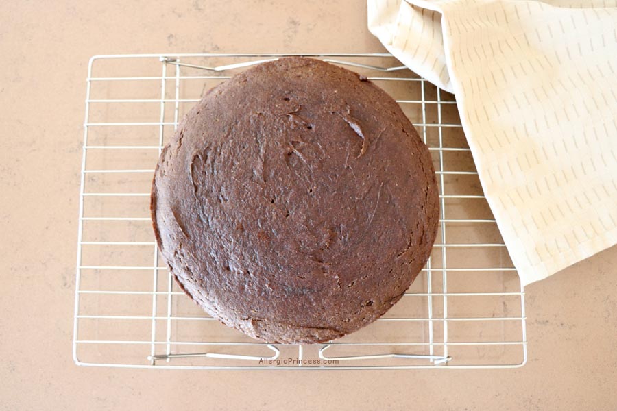 egg-free dairy-free nut-free gluten-free chocolate cake